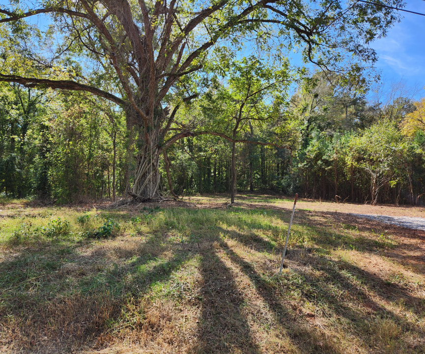 3868 Shoals Rd, Athens, GA 30605