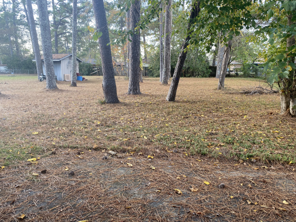 3813 Malabar Rd, Montgomery, AL 36116