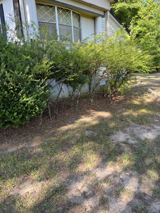 1617 Shepard Sch Rd, Zebulon, NC 27597