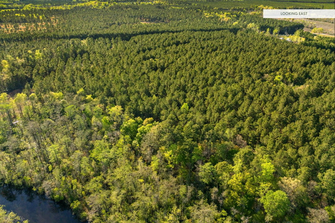 0 Dunbar Road, S Carolina 29440